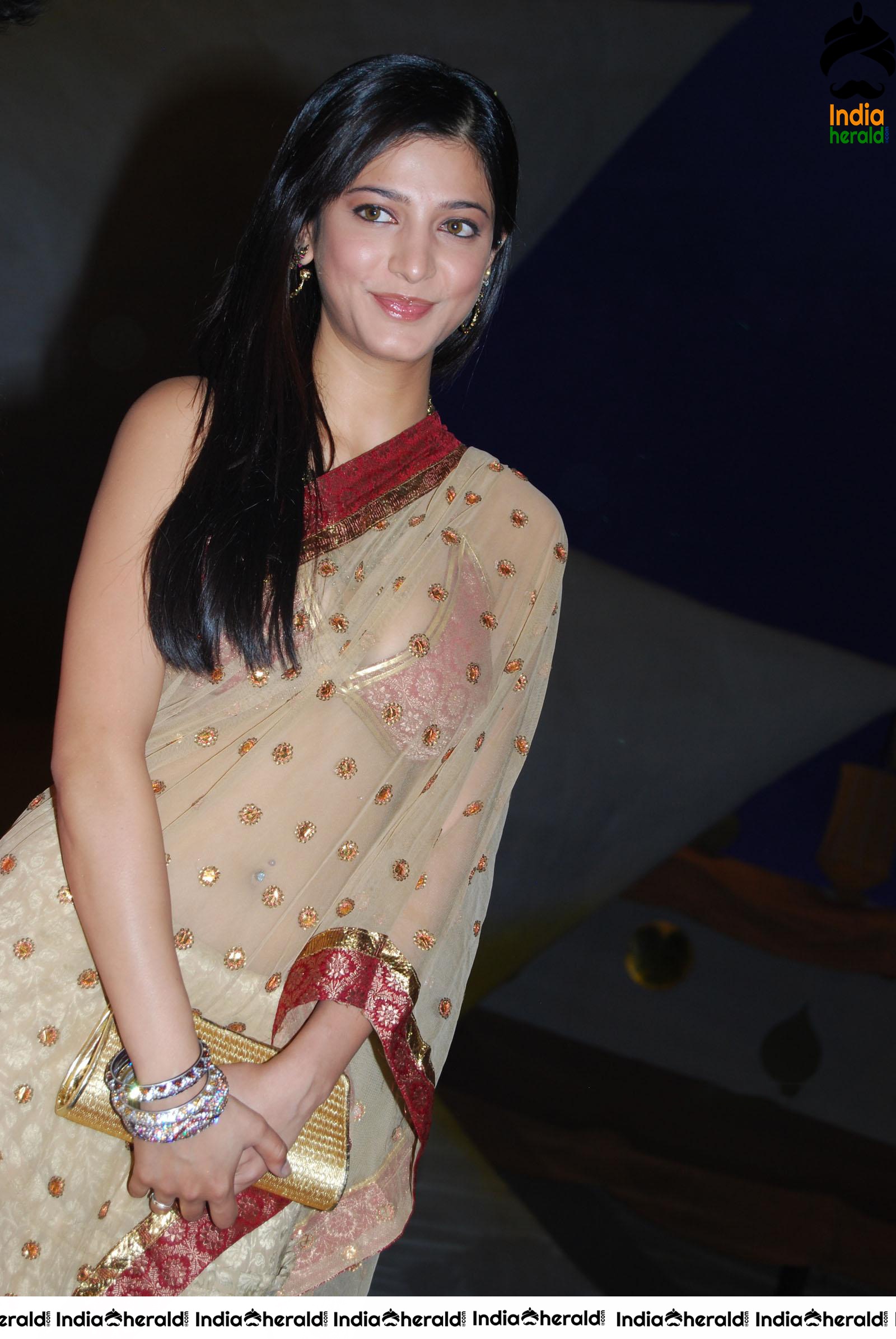 Shruti Haasan exposing her Brassiere when she was wearing a Transparent Saree