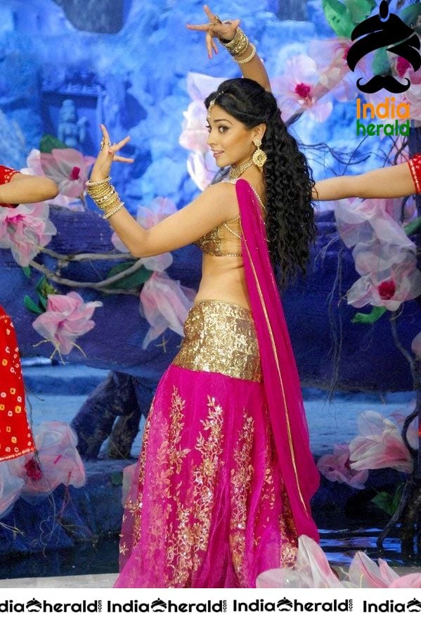 Sizzler Shriya Saran Hot Unseen Photos from Don Seenu movie Set 2