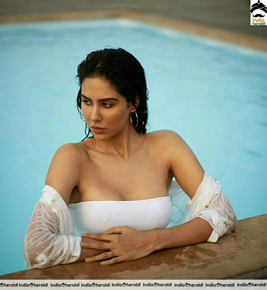 Sonam Bajwa Hot Sizzling Stills
