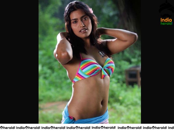 South Indian Actresses Hot in Bikini Photos Set 2