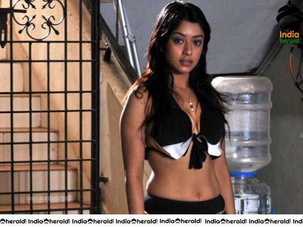 South Indian Actresses Hot in Bikini Photos Set 2