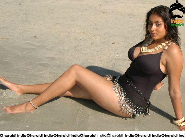 South Indian Actresses Hot in Bikini Photos Set 3