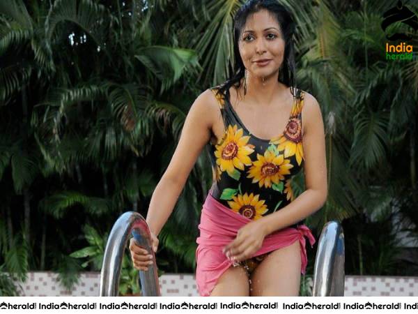 South Indian Actresses Hot in Bikini Photos Set 3