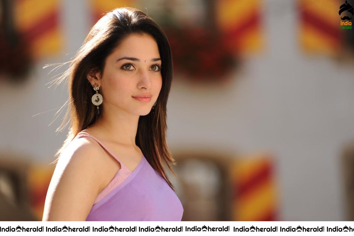 Tamanna Hot in Sleeveless Blouse and Light Colored Saree Set 1
