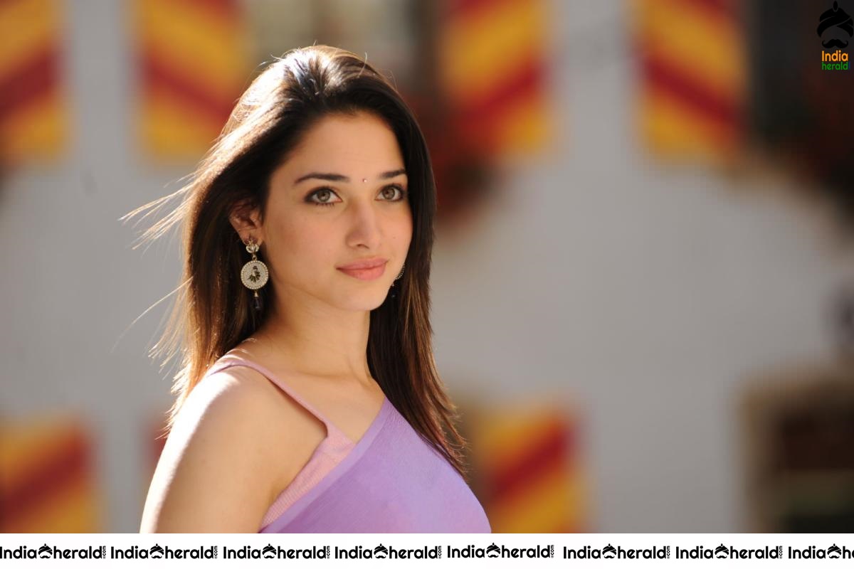 Tamanna Hot in Sleeveless Blouse and Light Colored Saree Set 1