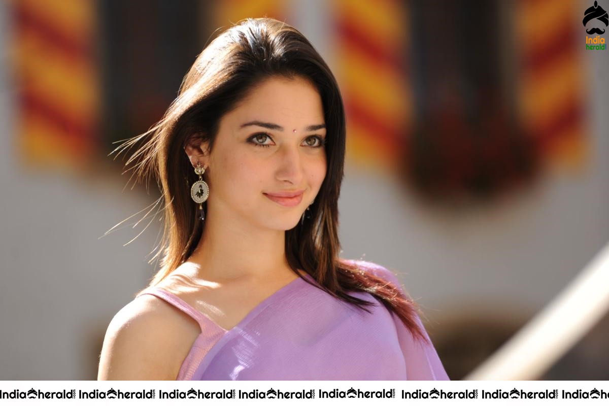 Tamanna Hot in Sleeveless Blouse and Light Colored Saree Set 1
