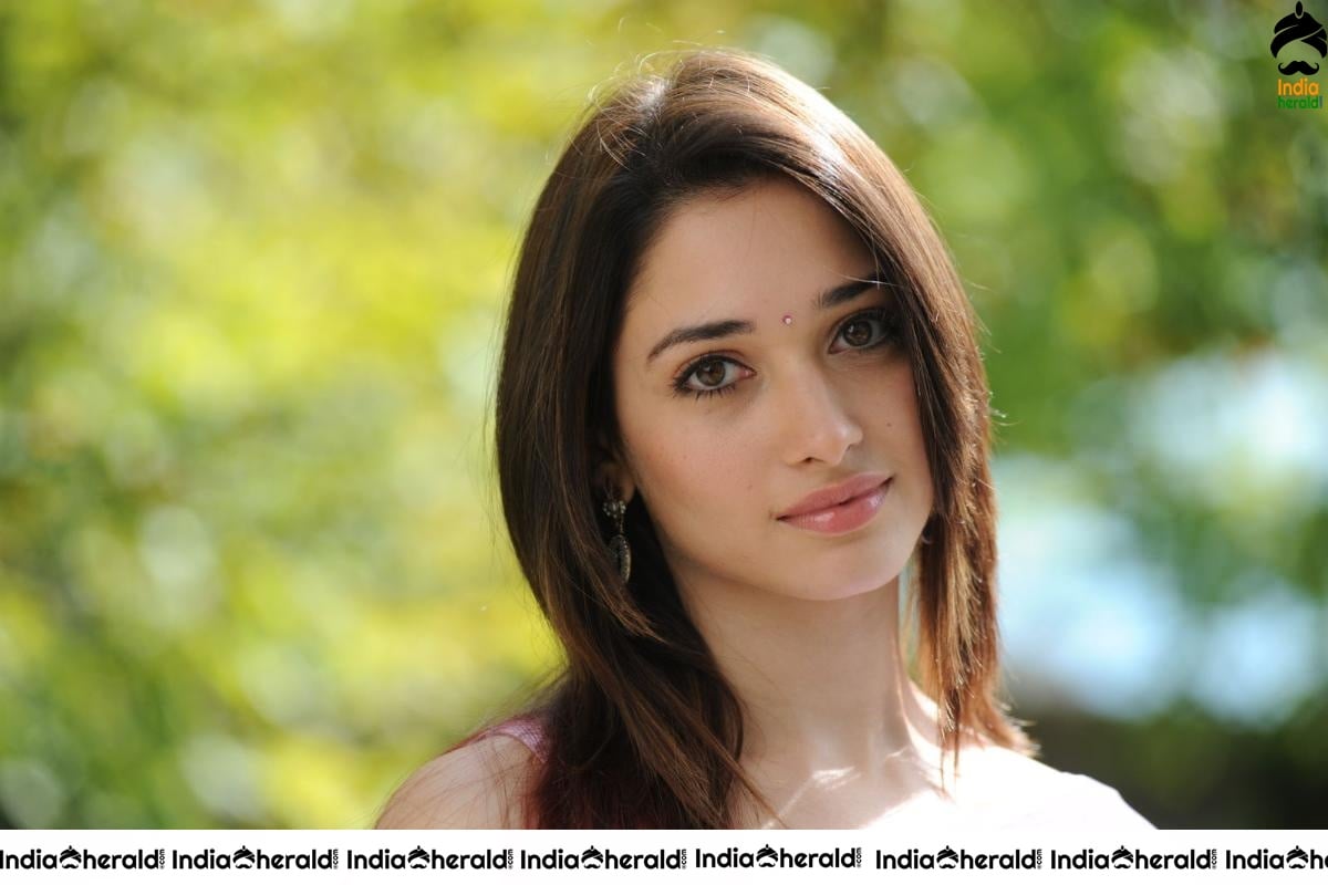 Tamanna Hot In Sleeveless Blouse And Light Colored Saree Set 2