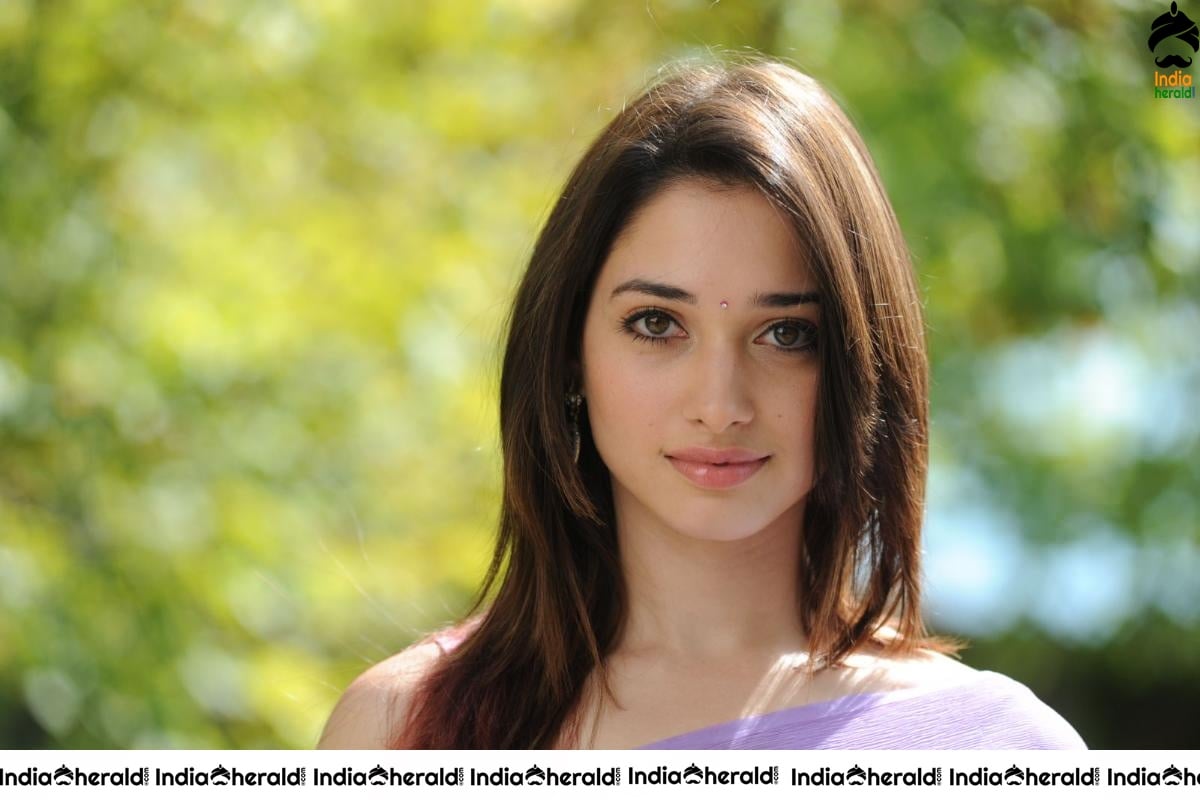Tamanna Hot In Sleeveless Blouse And Light Colored Saree Set 2