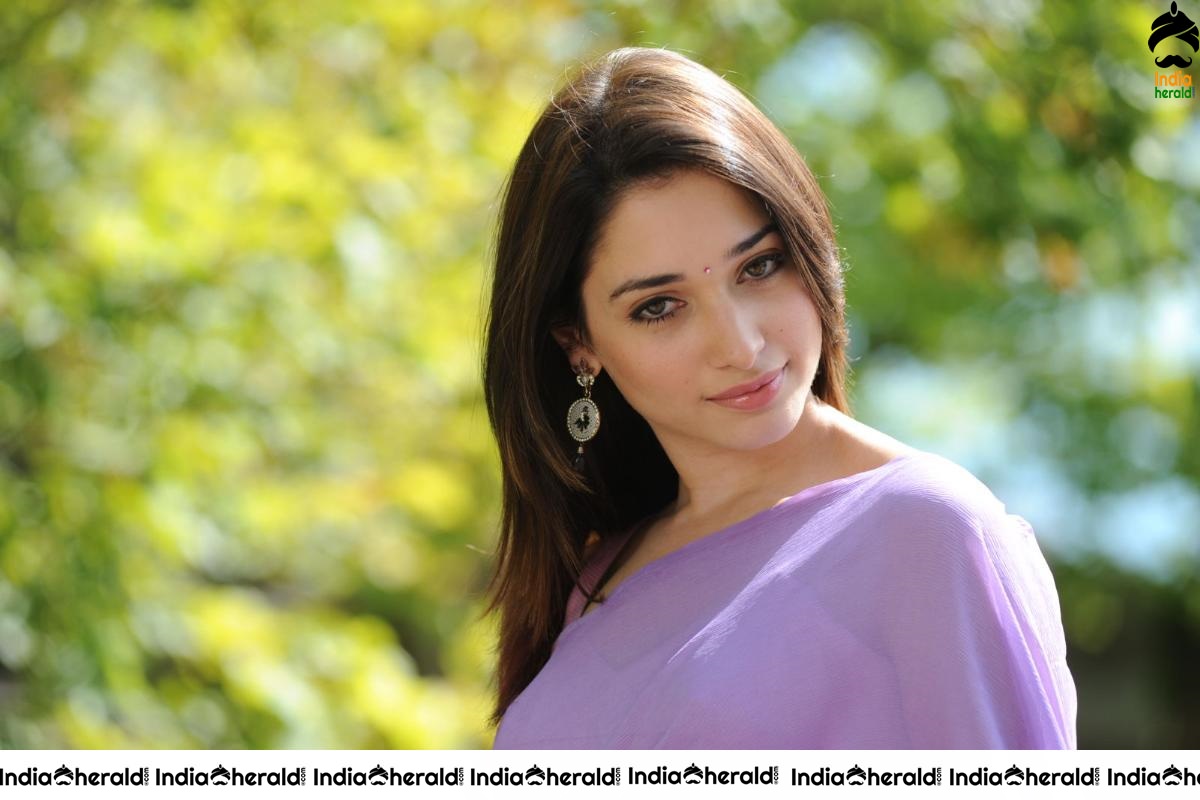 Tamanna Hot In Sleeveless Blouse And Light Colored Saree Set 3