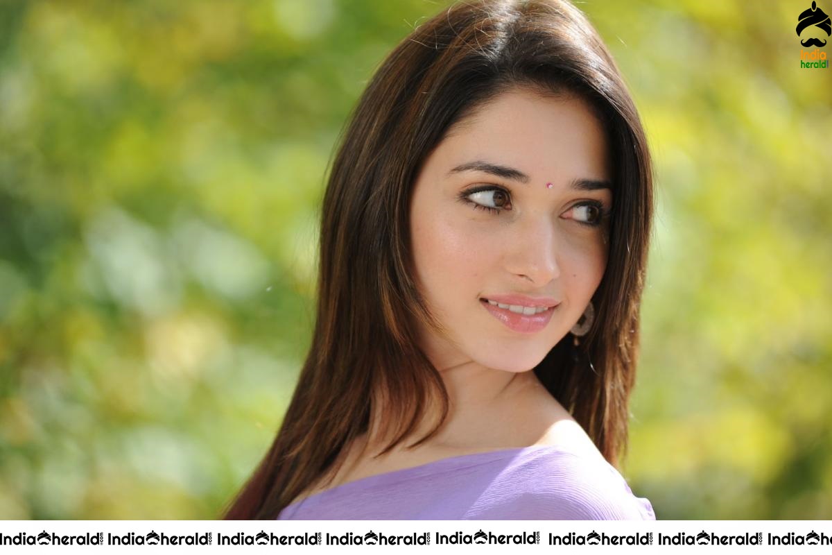 Tamanna Hot In Sleeveless Blouse And Light Colored Saree Set 3