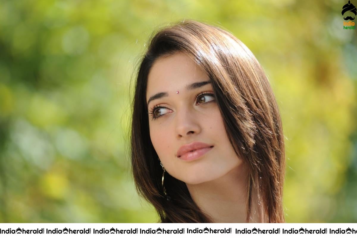 Tamanna Hot In Sleeveless Blouse And Light Colored Saree Set 3