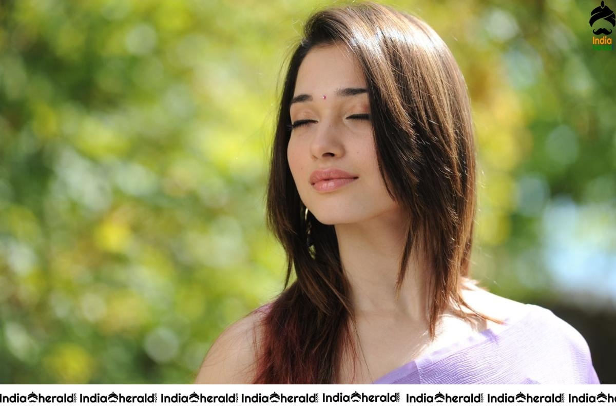 Tamanna Hot In Sleeveless Blouse And Light Colored Saree Set 3