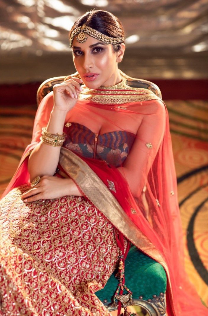 Traditional Look Sophie Choudry Latest photos
