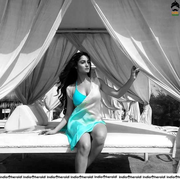 Tridha Choudhary Latest Hot Bikini Photos Set 2