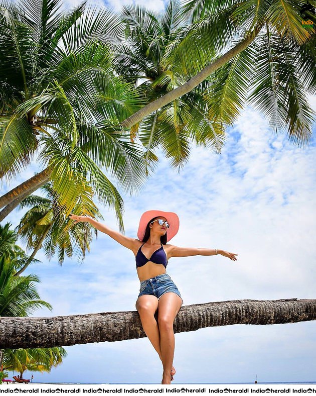 Tridha Choudhary Latest Hot Bikini Photos Set 2