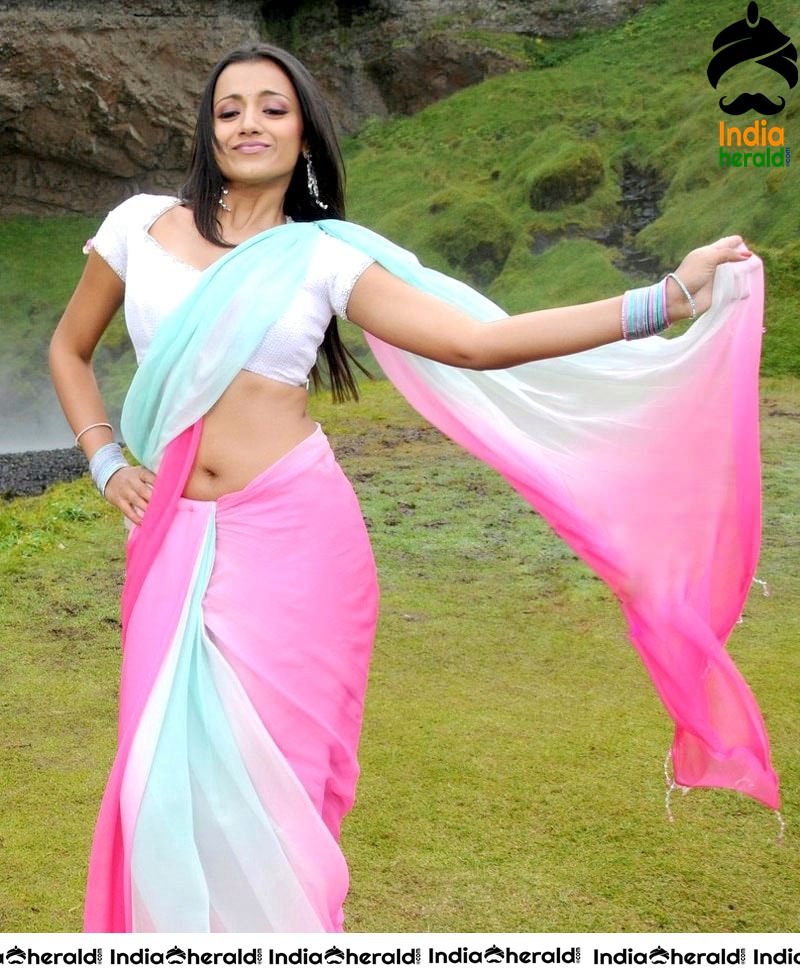 Trisha Exposing her Fleshy Belly and Deep Navel in Saree Hot Photos Set 1