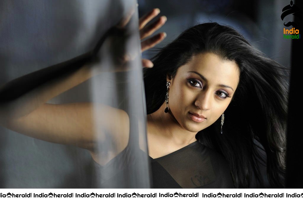 Trisha Raises the Heat by Exposing her Deep Navel in Black Transparent Saree