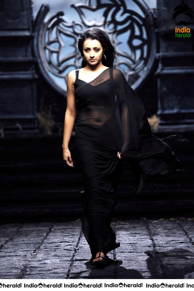 Trisha Raises the Heat by Exposing her Deep Navel in Black Transparent Saree