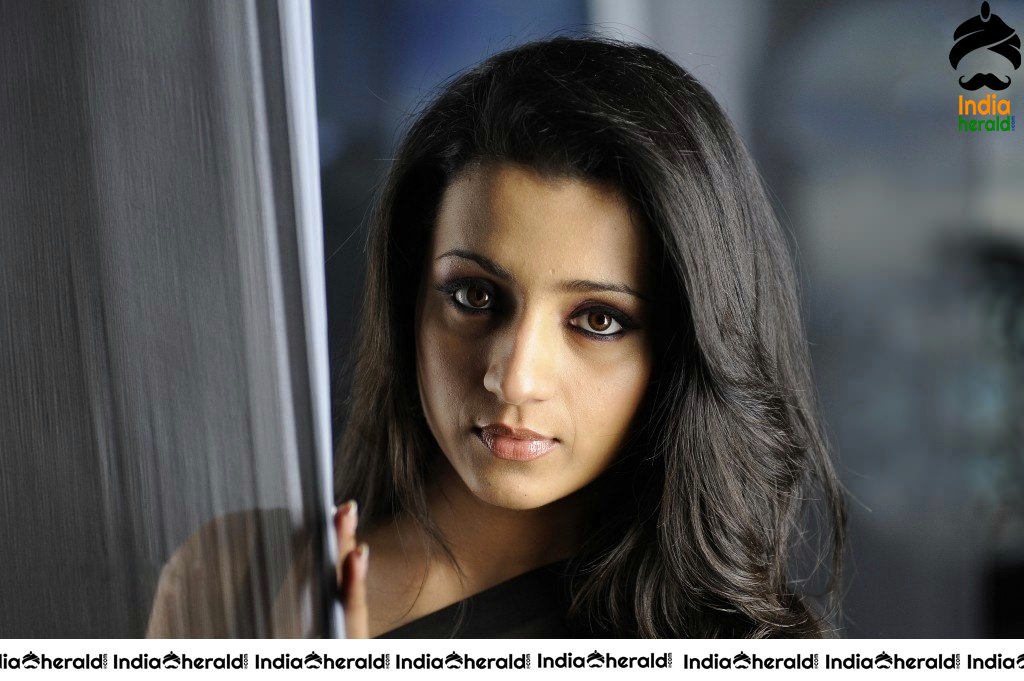 Trisha Raises the Heat by Exposing her Deep Navel in Black Transparent Saree