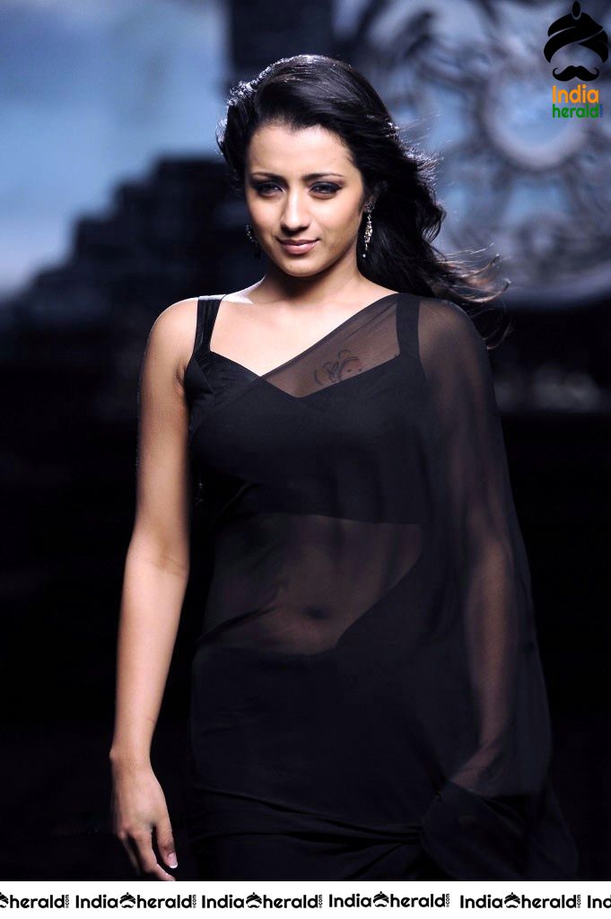 Trisha Raises the Heat by Exposing her Deep Navel in Black Transparent Saree