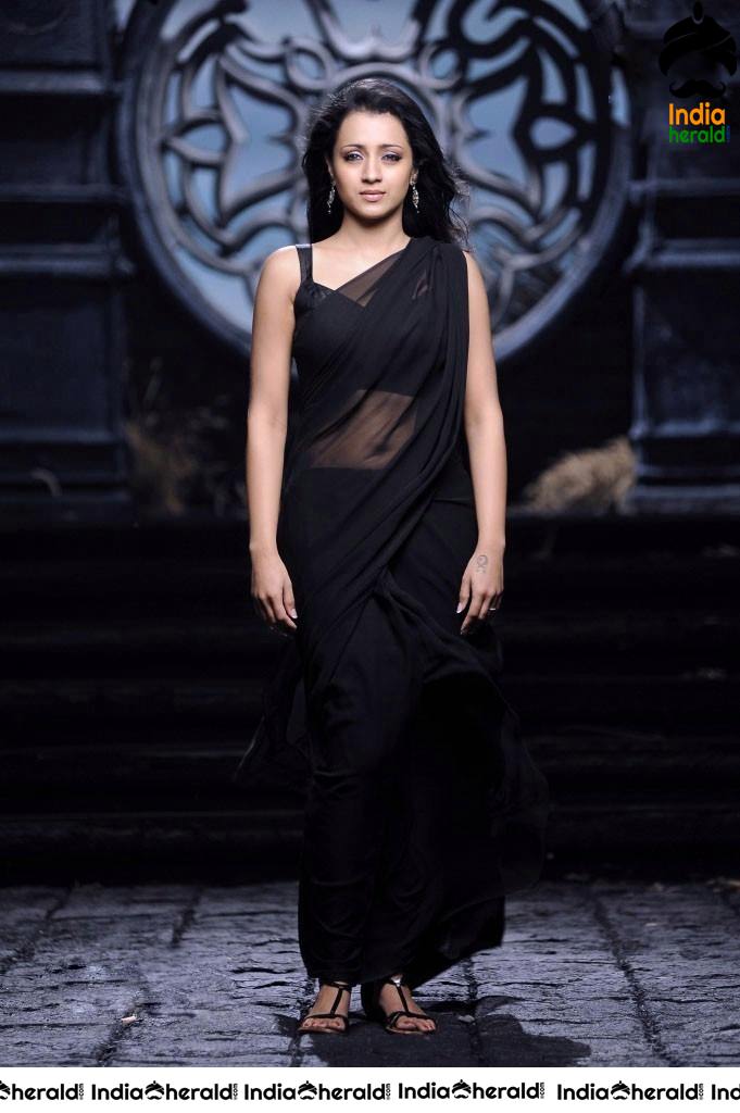 Trisha Raises the Heat by Exposing her Deep Navel in Black Transparent Saree