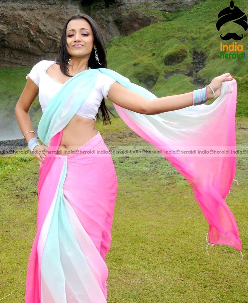 Trisha Showing her Tempting Hot Midriff and Deep Navel in Saree Set 1