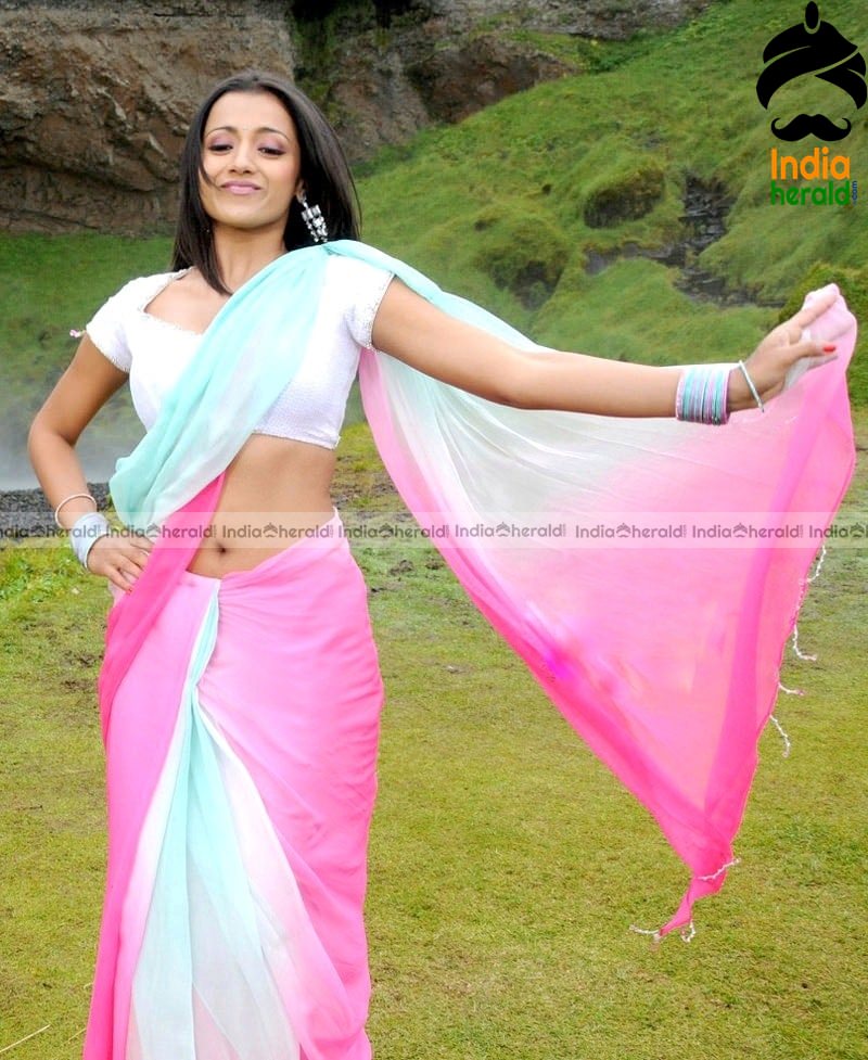 Trisha Showing her Tempting Hot Midriff and Deep Navel in Saree Set 2