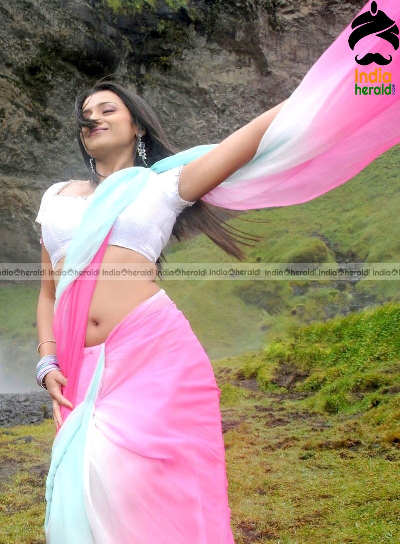 Trisha Showing her Tempting Hot Midriff and Deep Navel in Saree Set 3
