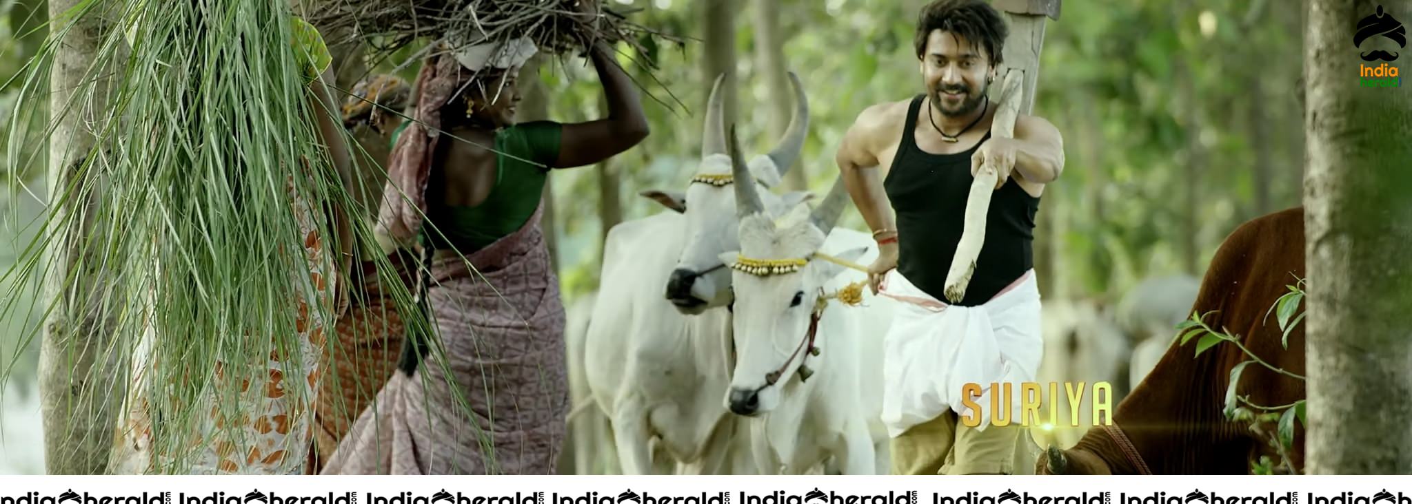 Kaapaan Movie Trailer Hot Photos Set 1