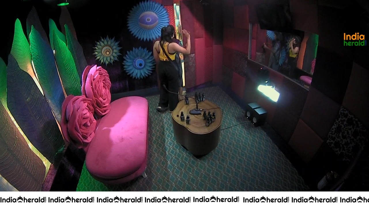 Bigg Boss Telugu Season 3 Day 54 Hot Wallpapers Set 2