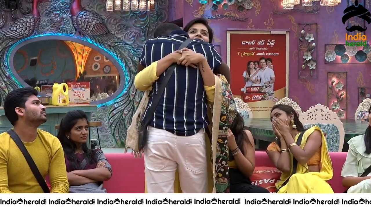 Bigg Boss Telugu Season 3 Day 54 Hot Wallpapers Set 3