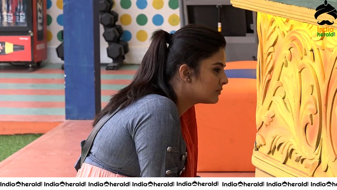 Bigg Boss Telugu Season 3 Day 64 Hot Wallpapers Set 2