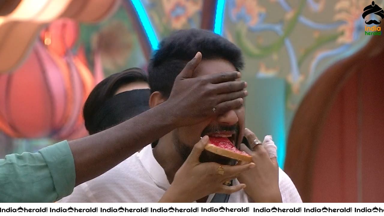 Bigg Boss Telugu Season 3 Day 80 Hot Wallpapers Set 2