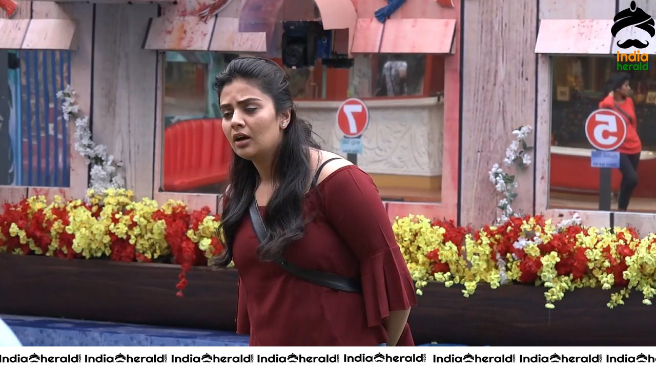 Bigg Boss Telugu Season 3 Day 85 Wallpapers Set 4