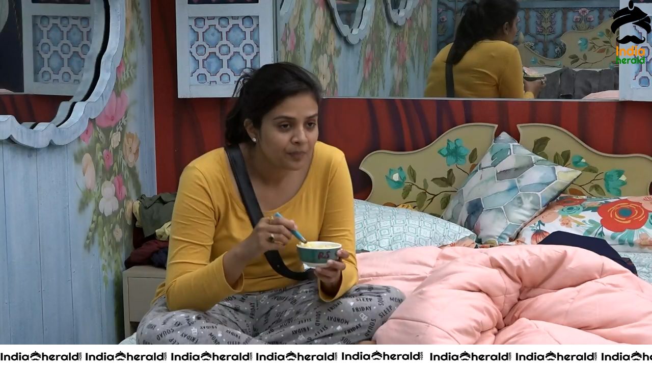 Bigg Boss Telugu Season 3 Day 86 Hot Wallpapers Set 3