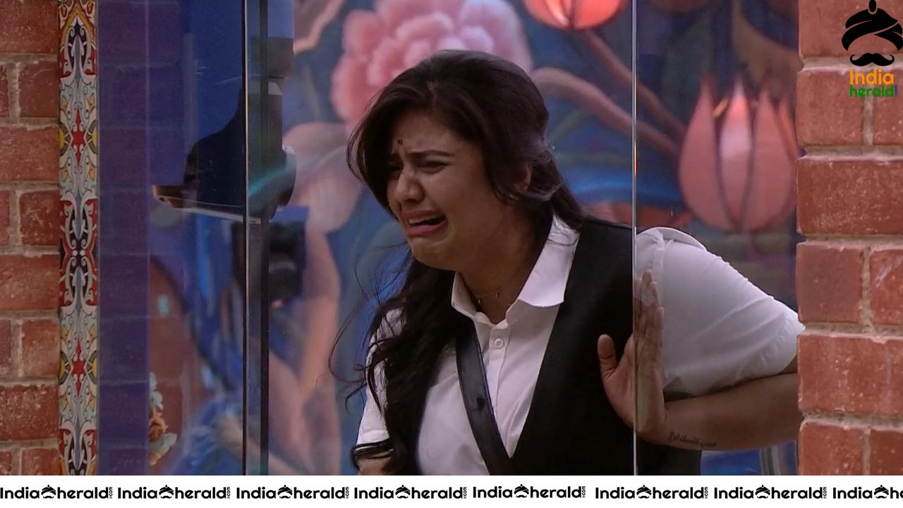 Bigg Boss Telugu Season 3 Day 88 Hot Wallpapers Set 4