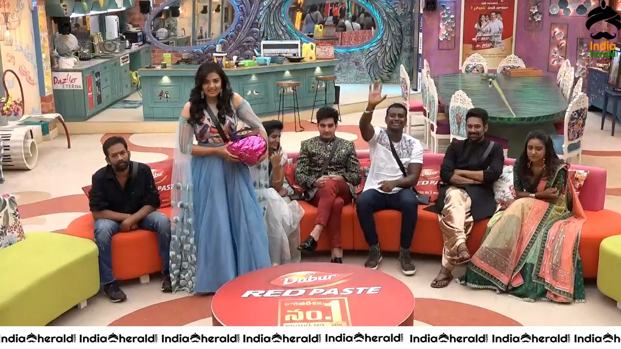 Bigg Boss Telugu Season 3 Day 90 Hot Wallpapers Set 3