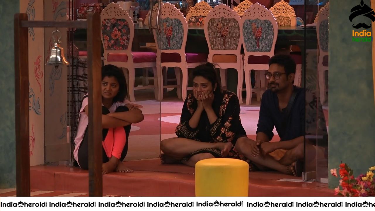 Bigg Boss Telugu Season 3 Day 93 Hot Wallpapers Set 1