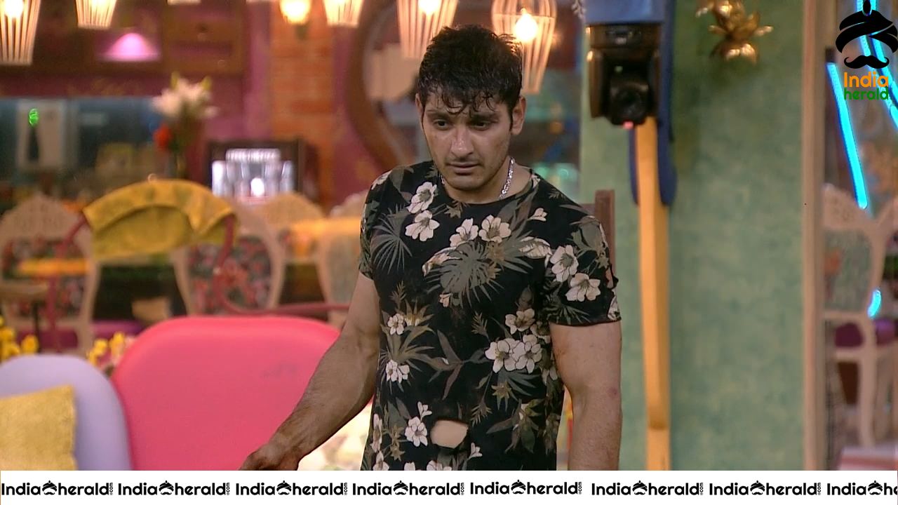 Bigg Boss Telugu Season 3 Day 93 Hot Wallpapers Set 2