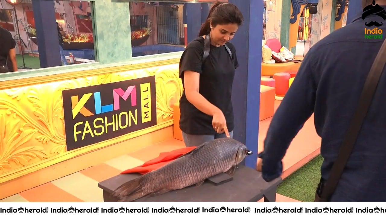 Bigg Boss Telugu Season 3 Day 94 Hot Wallpapers Set 3