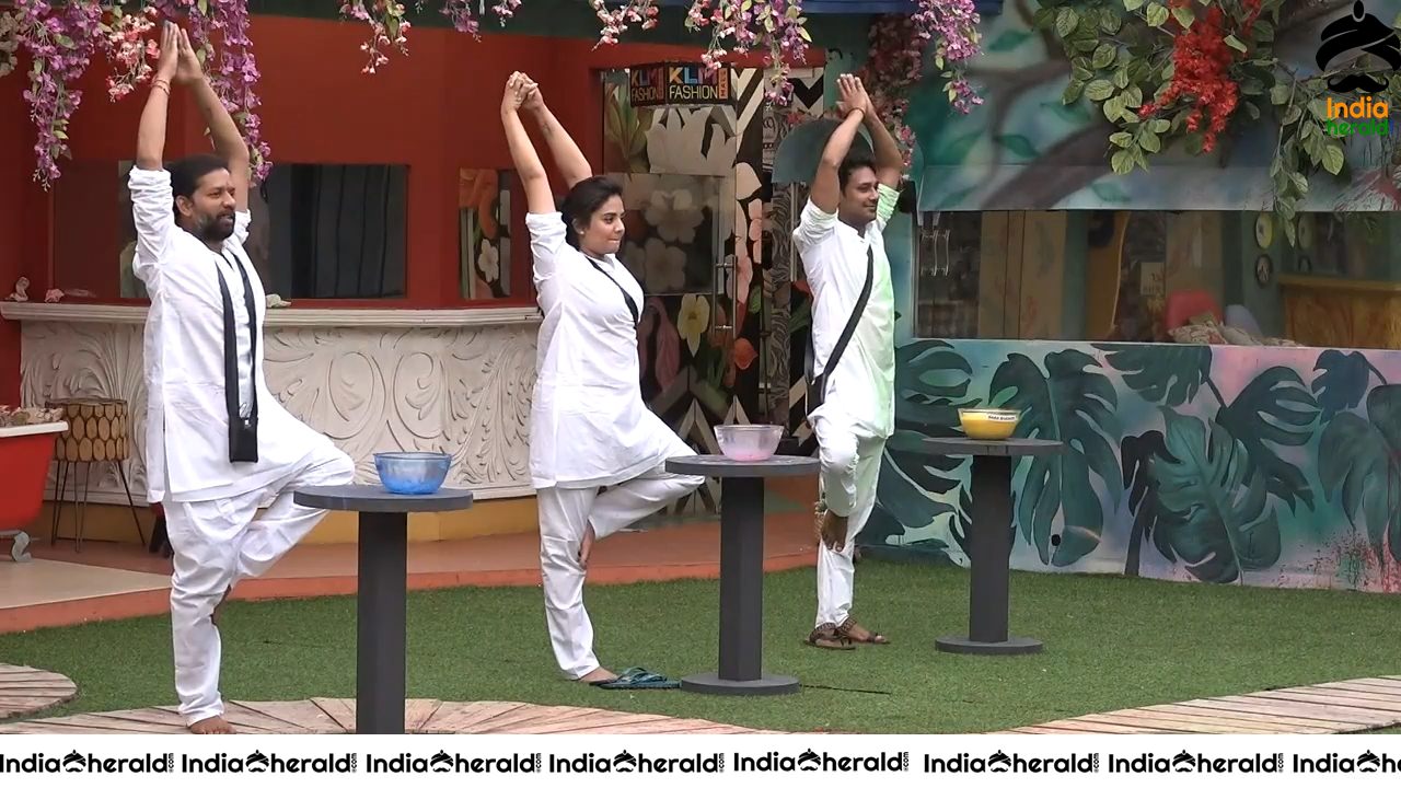 Bigg Boss Telugu Season 3 Day 95 Hot Wallpapers Set 3