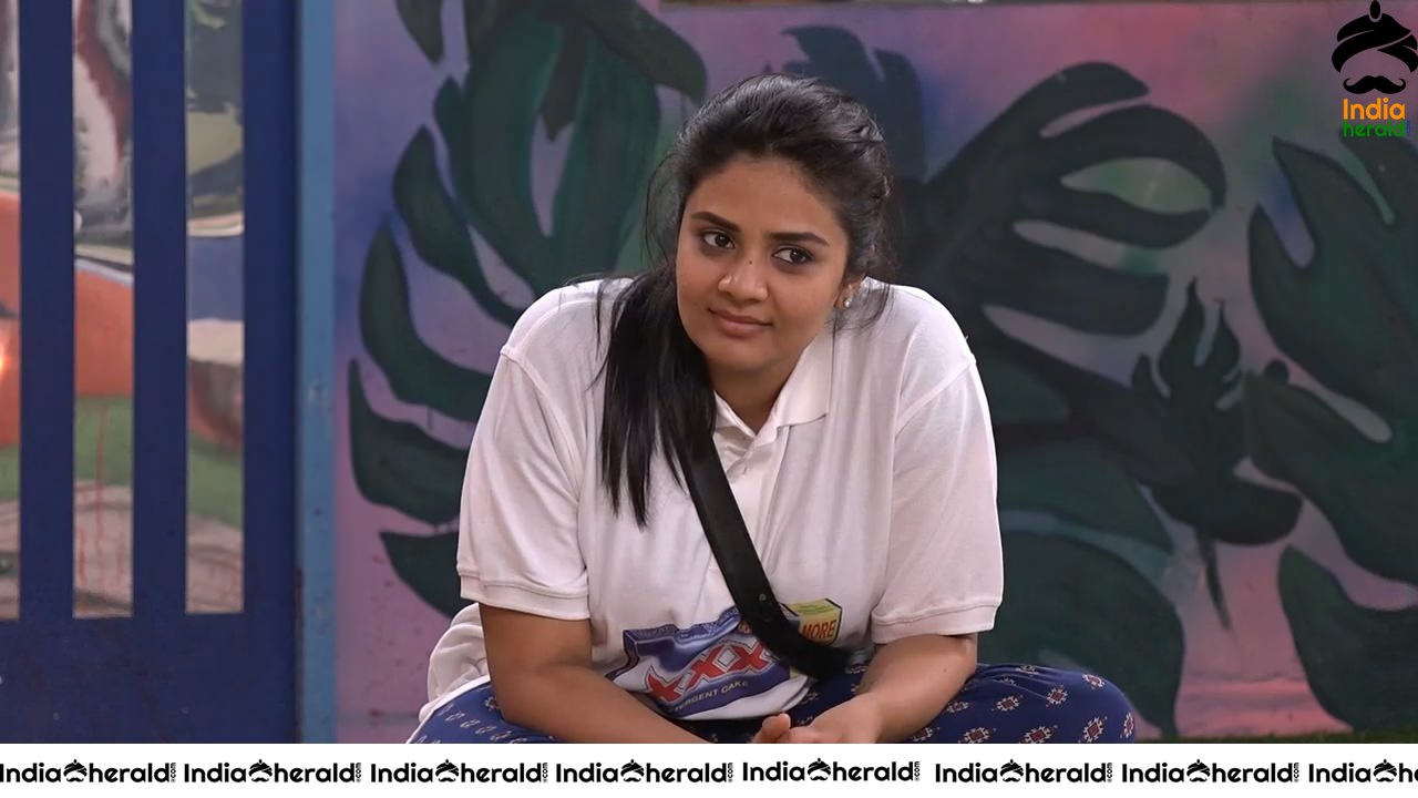 Bigg Boss Telugu Season 3 Day 95 Hot Wallpapers Set 4