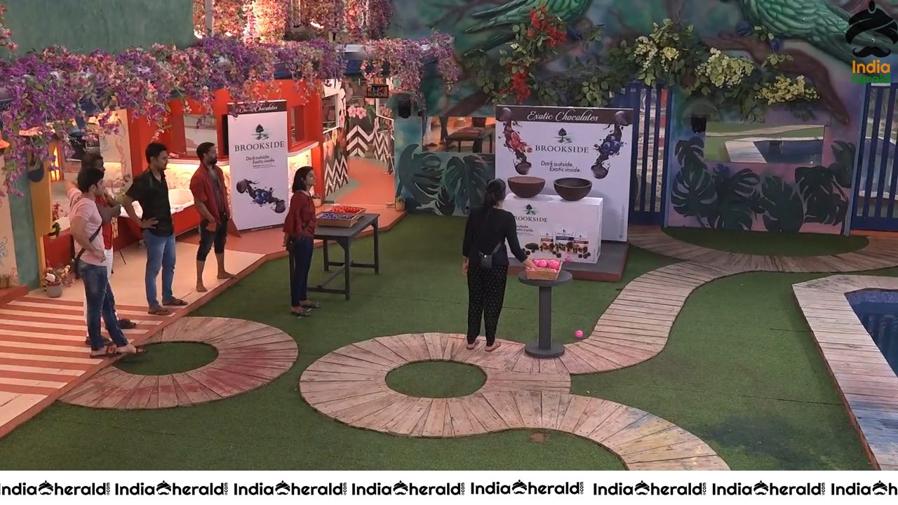 Bigg Boss Telugu Season 3 Day 97 Hot Wallpapers Set 1