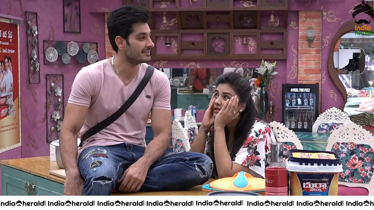 Bigg Boss Telugu Season 3 Day 97 Hot Wallpapers Set 1