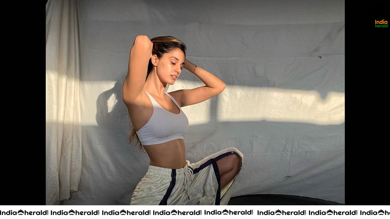 Disha Patani Hot Calvin Klein Inner Wear Wallpapers