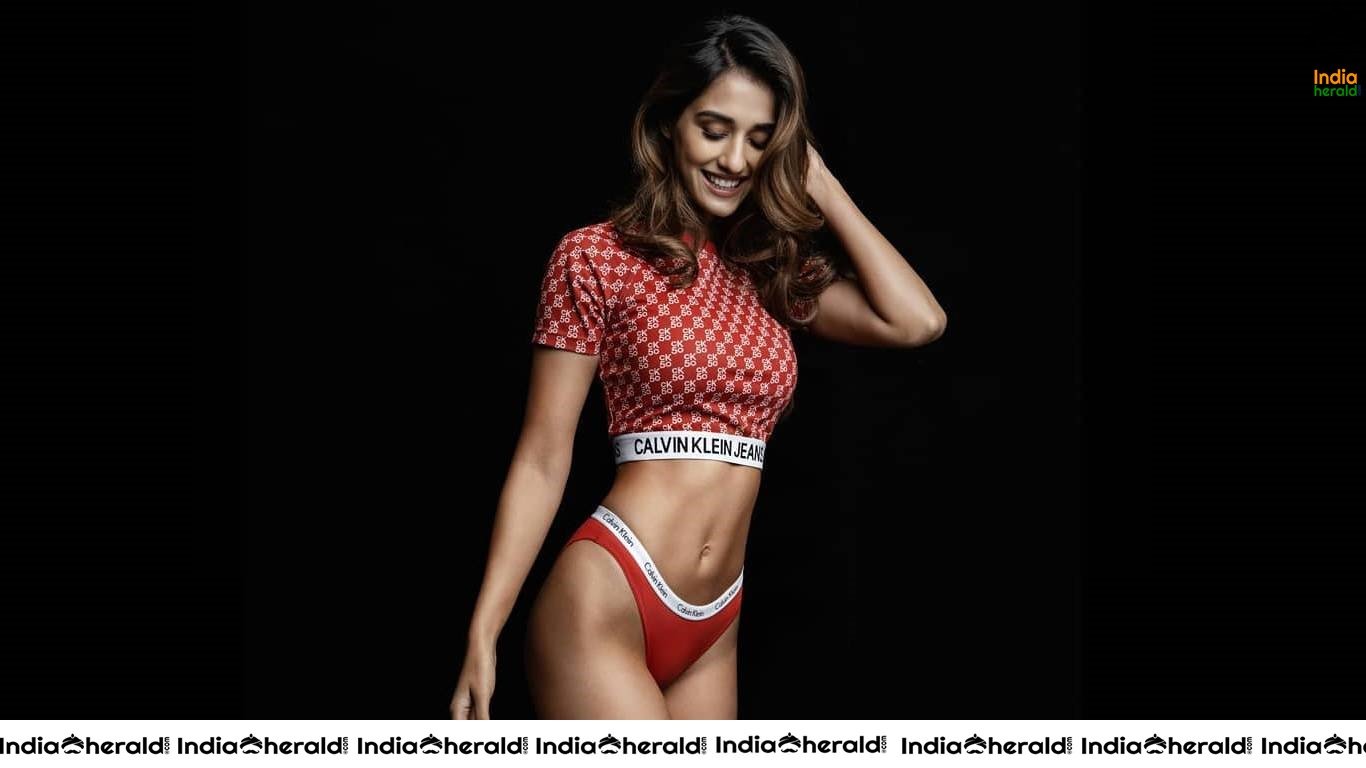 Disha Patani Hot Calvin Klein Inner Wear Wallpapers