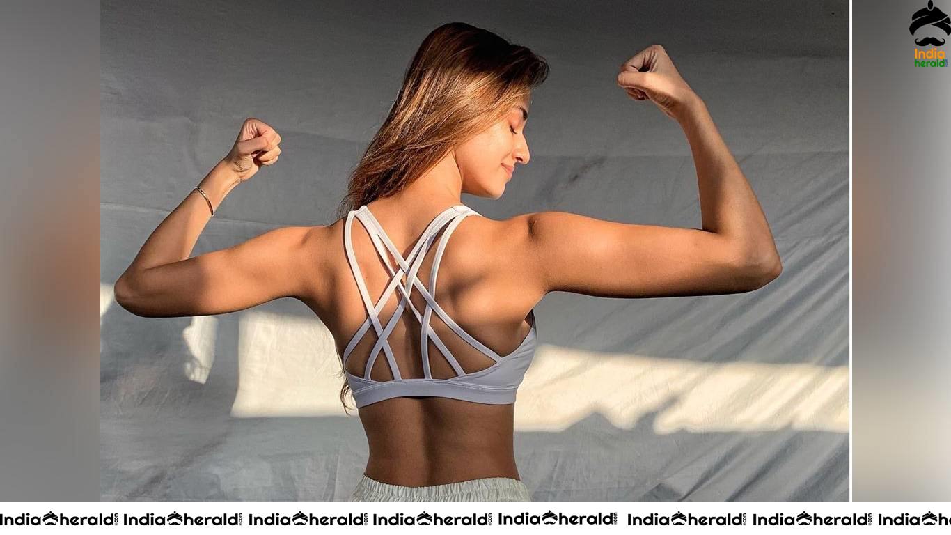 Disha Patani Hot Calvin Klein Inner Wear Wallpapers