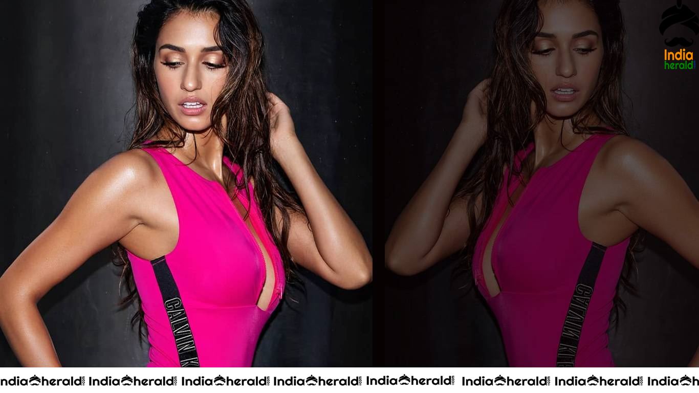 Disha Patani Latest Hot HD Wallpapers Set 1