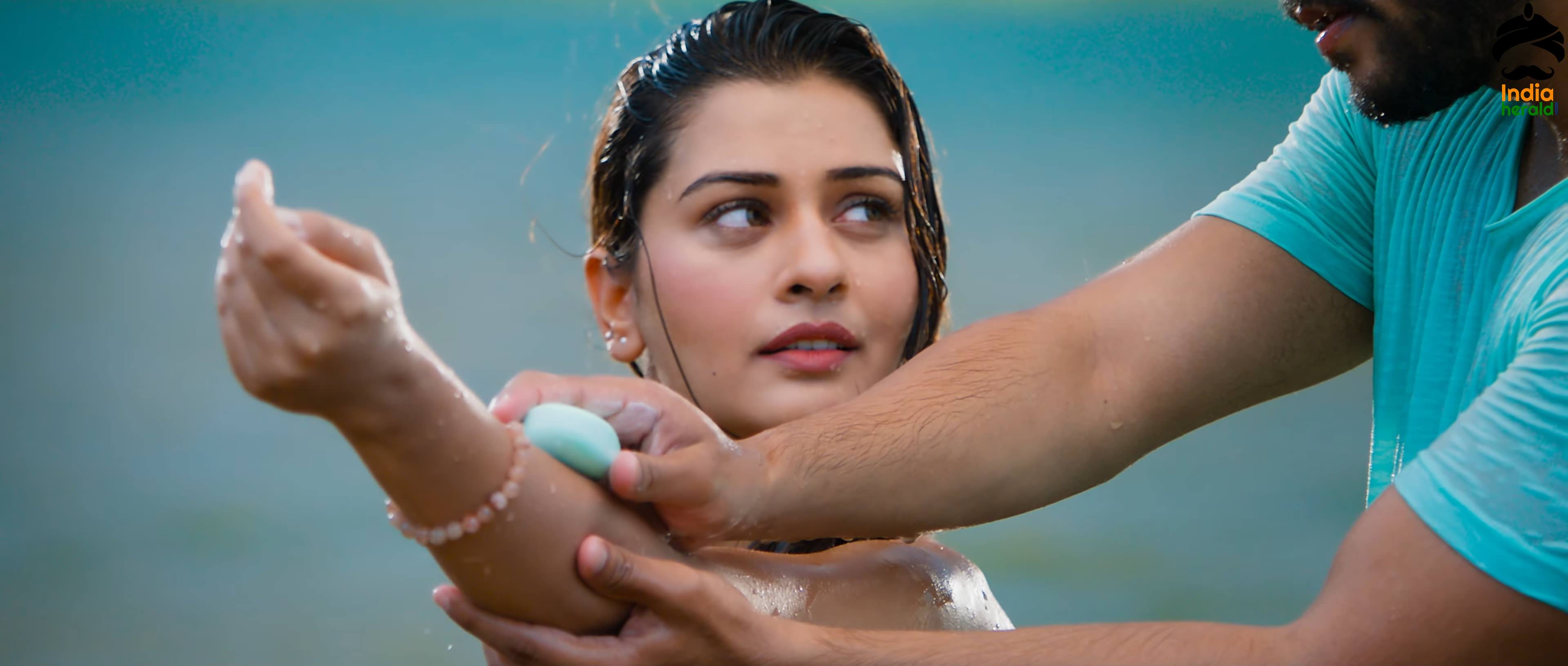 Hot Payal Rajput Will Tempt Your Mood In These RDX Love Stills Set 4