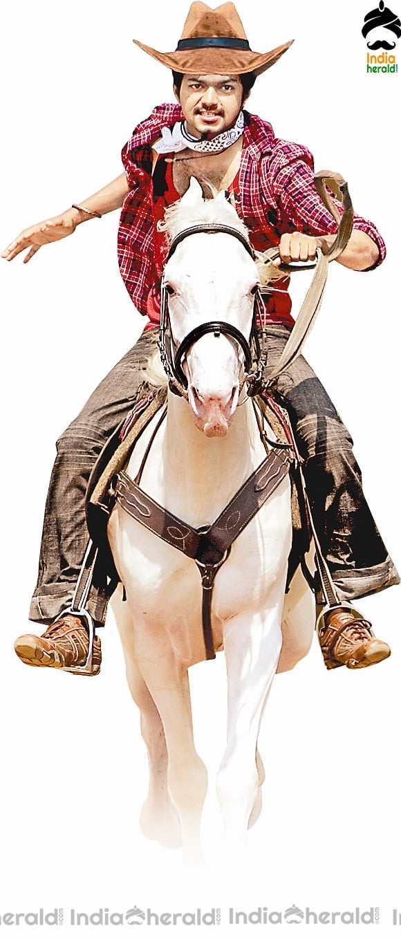 a sample image